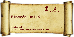 Pinczés Anikó névjegykártya