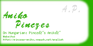 aniko pinczes business card